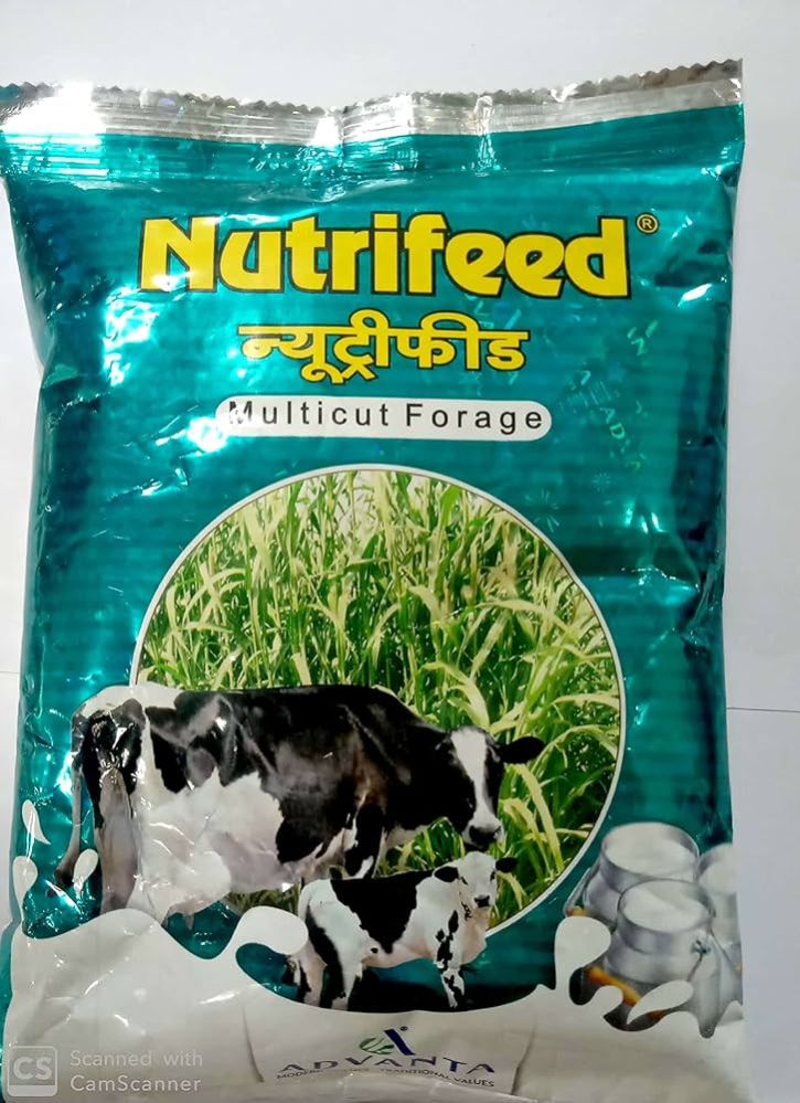 Advanta Nutrifeed Multicut Forage in Seeds | Gramik Agent